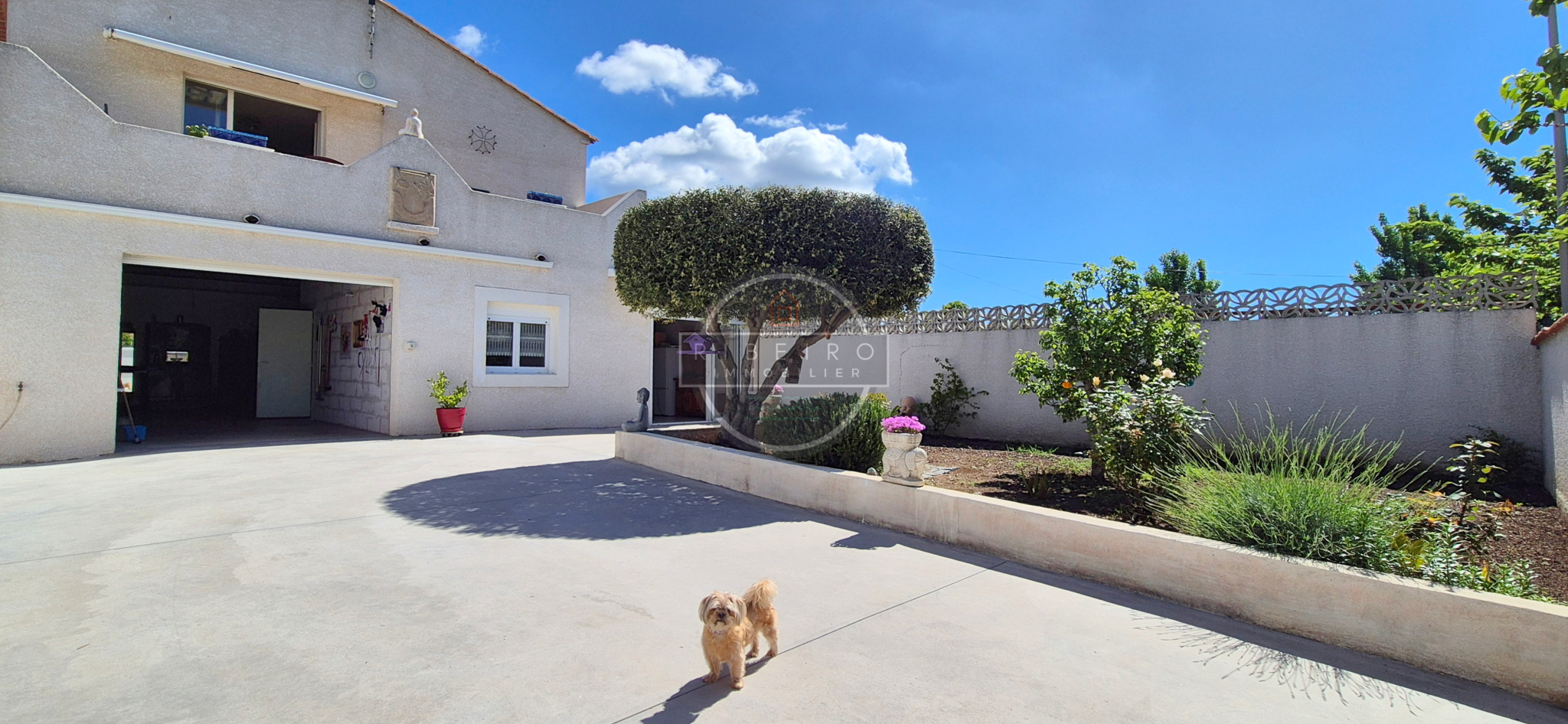 Agence immobilière de RIBEIRO IMMOBILIER